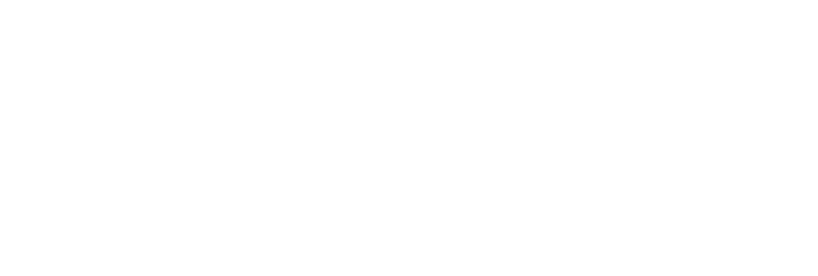 Holoholo Grill